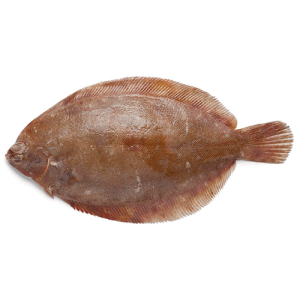Lemon Sole (Sole)
