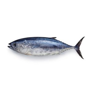 Tuna (Dawan)
